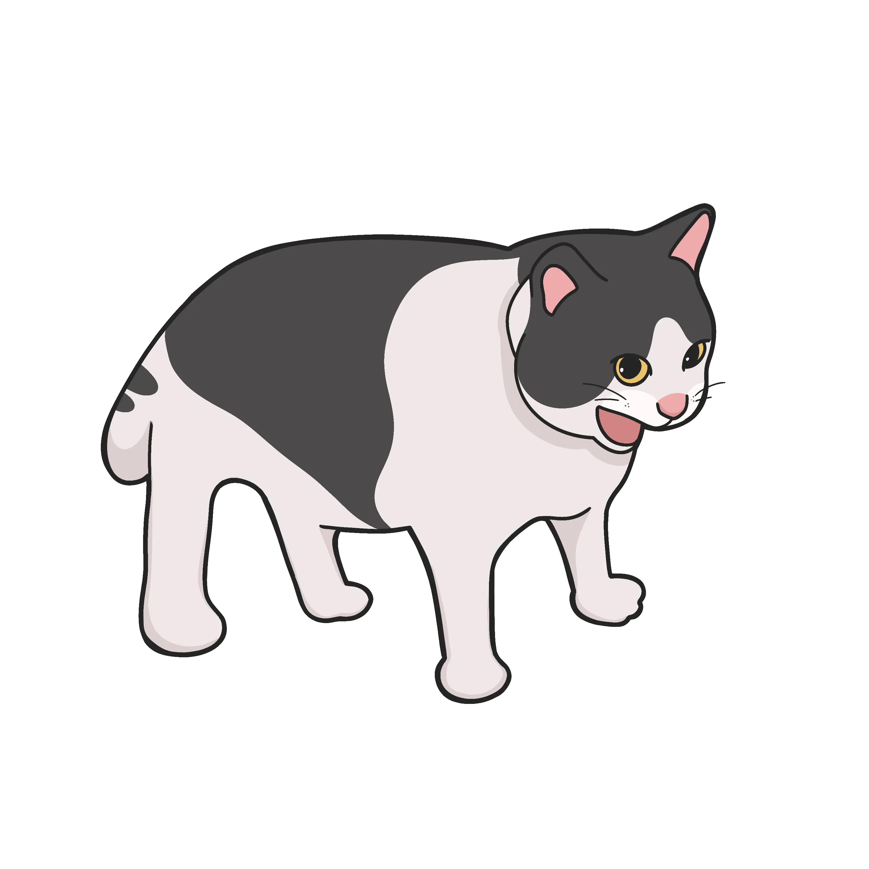 Mad Cat Image